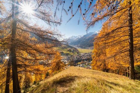 Bormio Herbst Landschaften