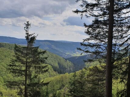 Aussicht auf dem Weg zu Greitemanns Stein