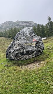 Fotografie z Klaus Irmler 1 na trase