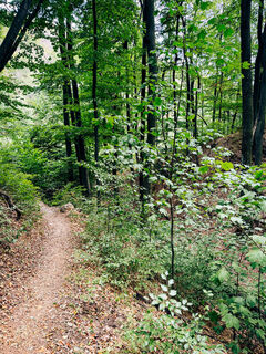 Photo de Bigjohn71 le long du parcours