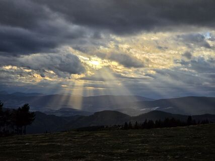 Fotografija s spletne strani TwilightTea na poti