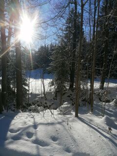 Foto de Ingo a lo largo del recorrido