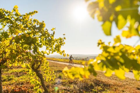 Wald &amp; Reben Radtour