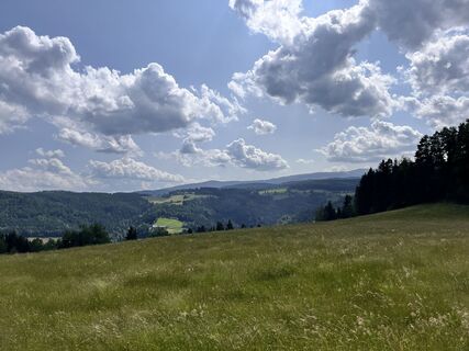 Photo de Robert Sackl le long du parcours