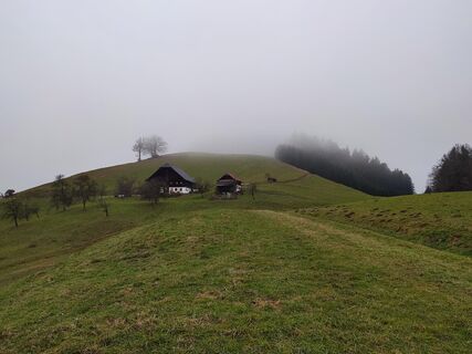 Weiterweg nach dem Panoramagasthof Leidingerhof