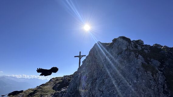 Foto von Mountain Cat ? ⛰️ entlang der Tour