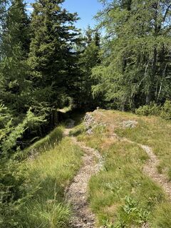 Foto de Matthias Rath a lo largo del recorrido