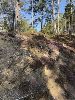 Foto von Chris G van W entlang der Tour