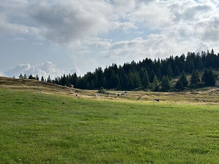 Foto från Filippo Dellanoce under resans gång