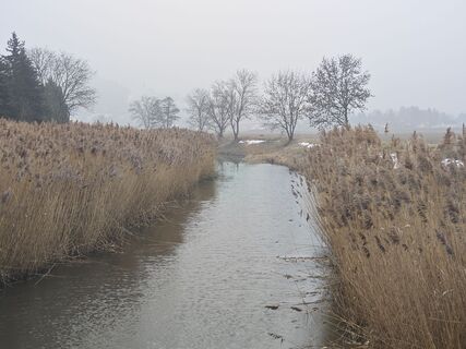Fotografija s spletne strani Sabine na poti