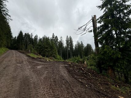 Photo de Peter Kessinger le long du parcours