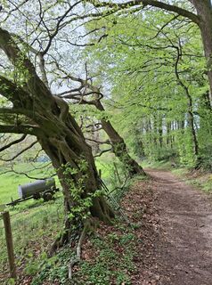 Photo de Peter spierenburg le long du parcours