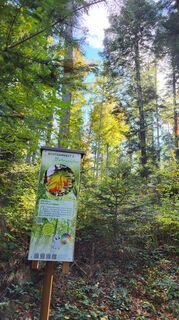 Photo de Ilse Sellnar le long du parcours