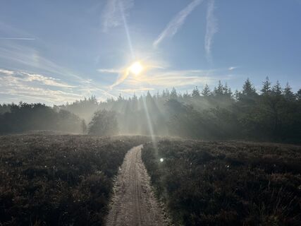 Photo de Marleen Blomsma le long du parcours