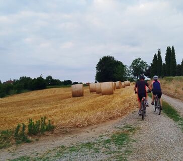 Hügel um Chieri (TO)