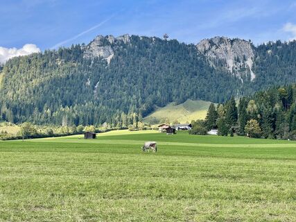 Photo de Philipp Rößler le long du parcours