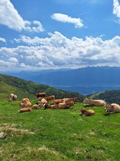 Foto fra Dagmar Hofer underveis på turen