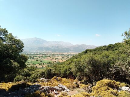Photo de MopsBiene le long du parcours