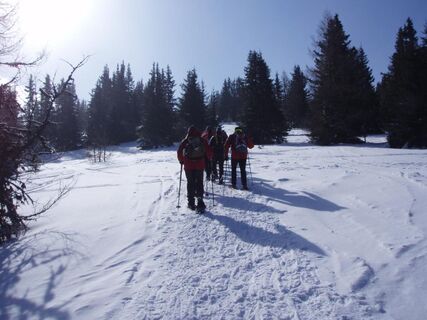 Koralpe - Trattenofen