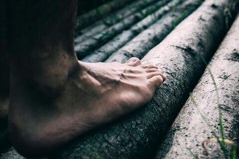 Barfußwandern auf Baumstämmen