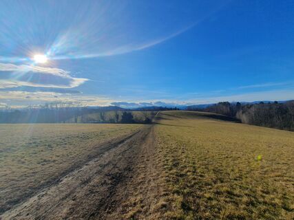 Foto von wanderelke entlang der Tour