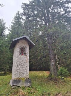 Foto von Mimi entlang der Tour