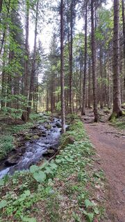 Fotografia z Aga M na trase