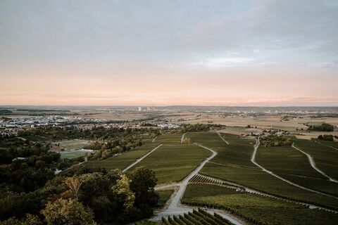 Ausblick Heuchelberger Warte | HeilbronnerLand