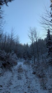 Fotografia z Thomas Heß na trase