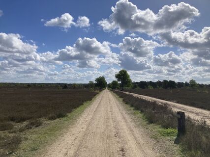 Foto de Alexander Brocksieper a lo largo del recorrido