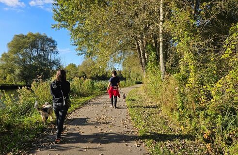 Véloroute Vallée de Somme - Wanderung Le Butor Etoilé - La Chaussé Tirancourt