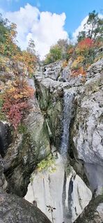 Zdjęcie z Davor  Umag City Croatia.?? wzdłuż trasy