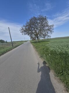 Fotografie z Markus Hummelbrunner na trase