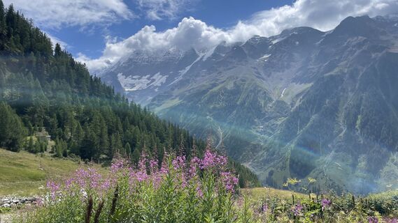Photo de Peter Burki le long du parcours