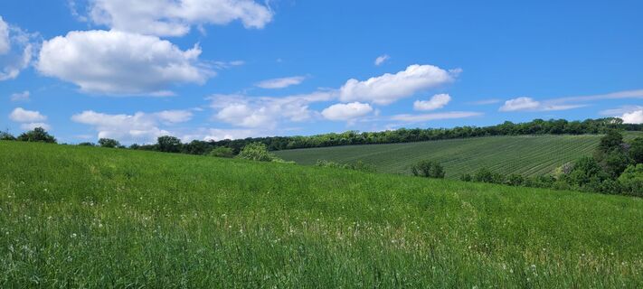 Foto von Nicky entlang der Tour