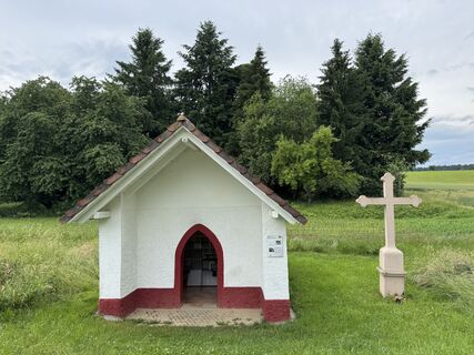 Fotografia z Volker Griesser 1 na trase