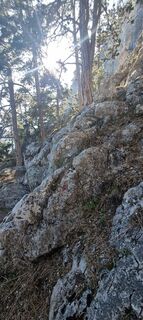 Fotografie z Mario Libardi na trase