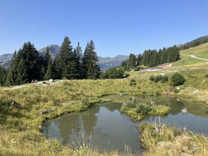Photo de fleibu le long du parcours