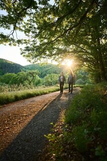 Taubertal_Reicholzheim