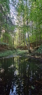 Foto von Anita Lunzer 1 entlang der Tour