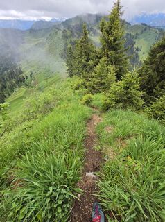 Photo de Gudrun Lippert le long du parcours