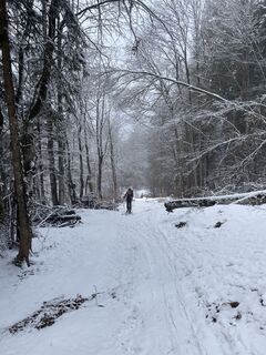 Fotó a Amiks honlapról a túra során