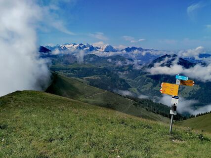Fotó a luyyy honlapról a túra során