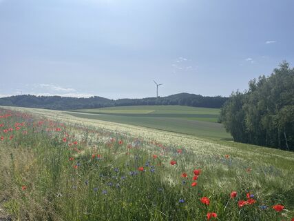 Fotografia z Doris Treiblmayr na trase