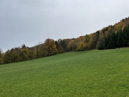 Foto von Valkai Gergely 1 entlang der Tour
