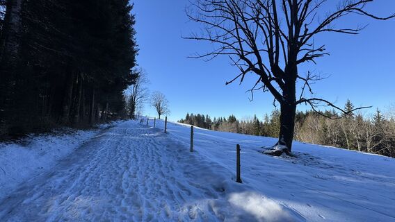 Foto von peter_oe entlang der Tour