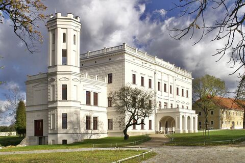 Térkép
