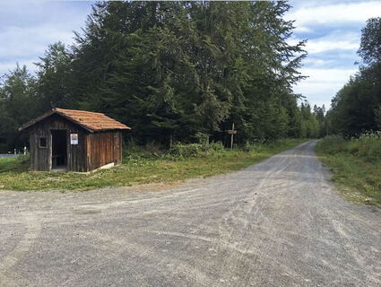 Waldweg mit Hütte