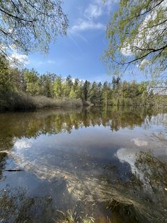 Photo de Lothar le long du parcours