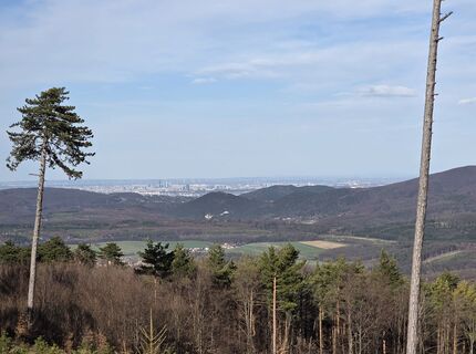Fotografie z Axel Holtz na trase